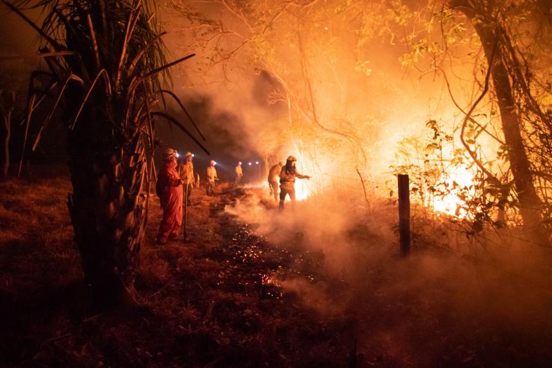 Hořící prales a hasiči. snímek z filmu Incendios